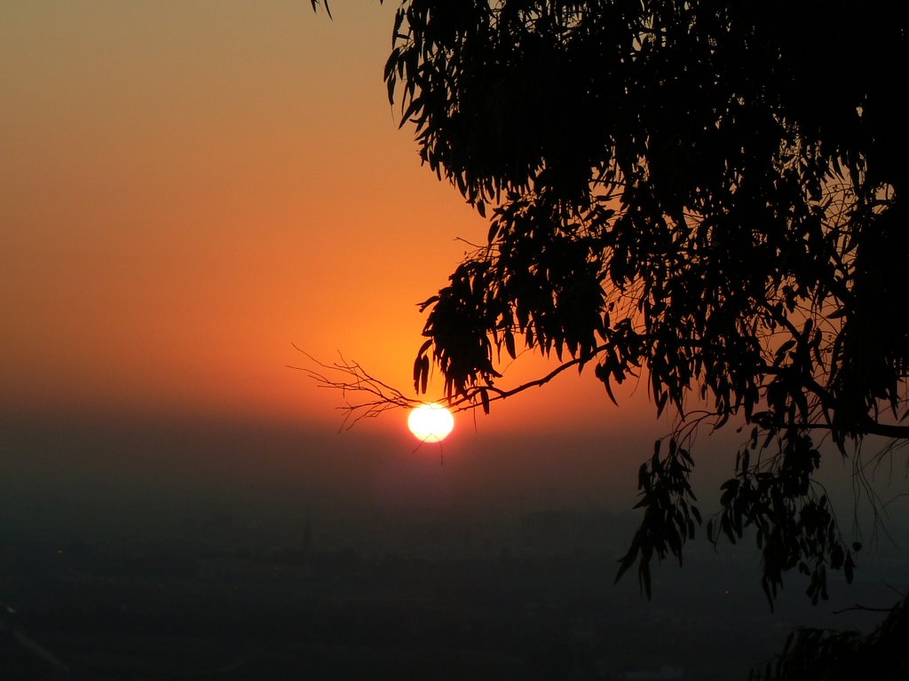 Amanecer en el Eucalipto de Sta. Brígida by JUMIBANA