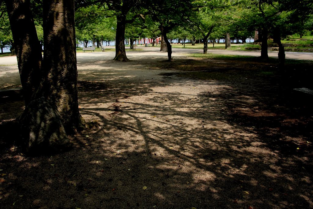 木陰 shade of trees by Yutaka Kanzaki