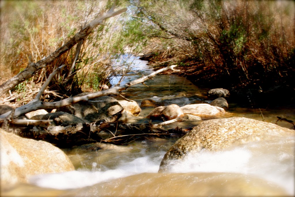 Sand Trap Stream by www.MarkCalver.com