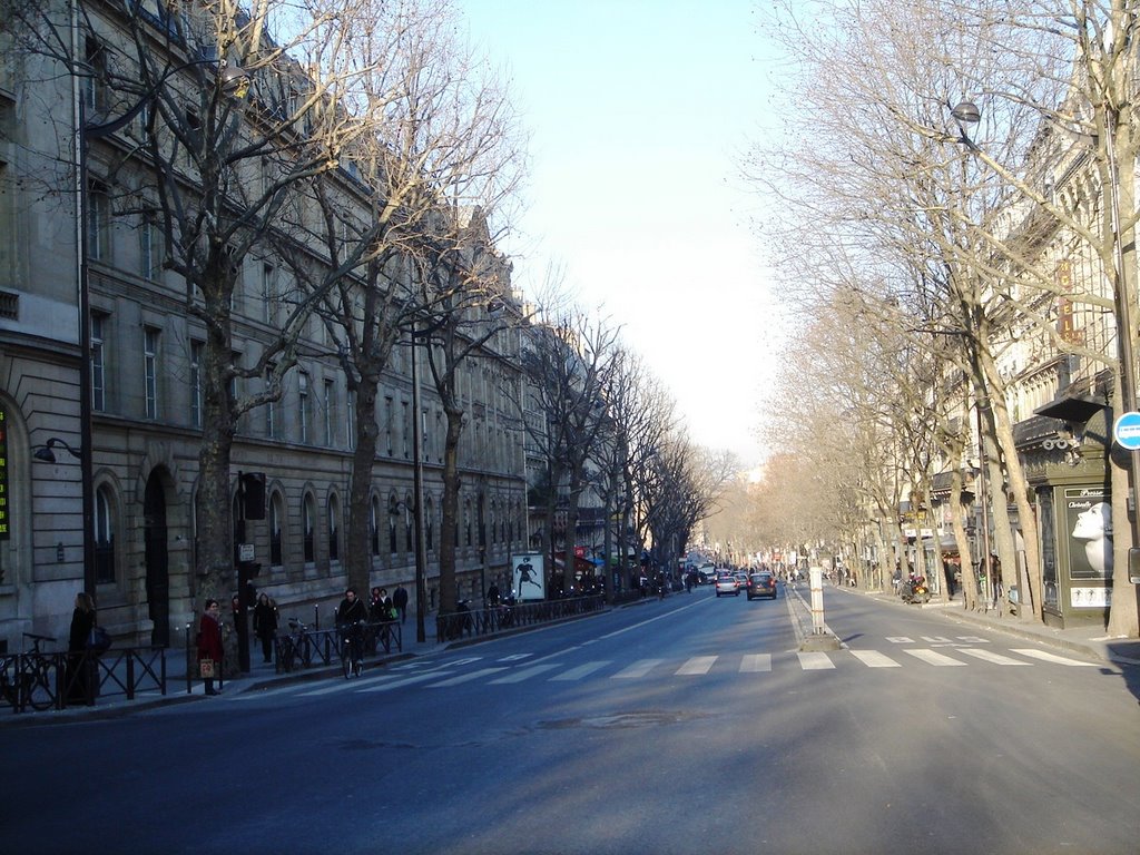 Paris - Boulevard St Michel by vicopoa