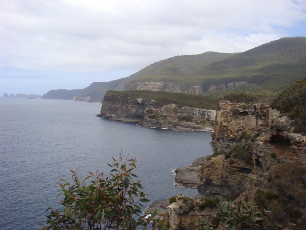 Looking South on Tasman by Fritz77