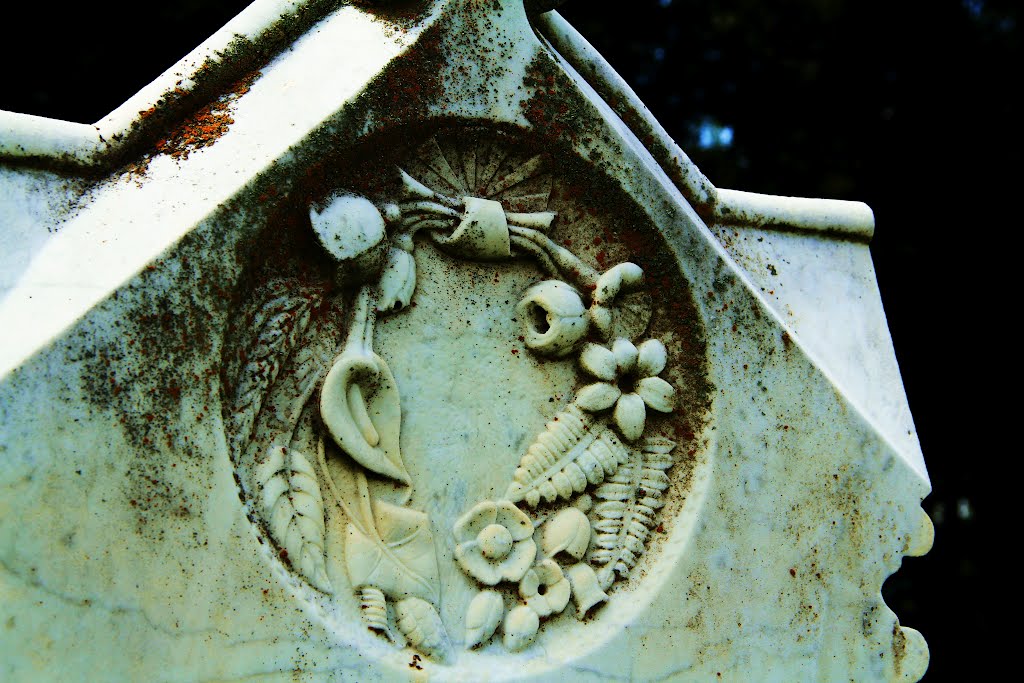 Sunset Cemetery (Christiansburg VA) by John MacKinnon