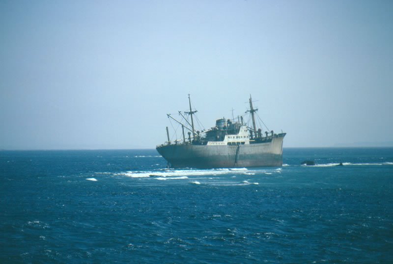 Wreck in Red Sea by bralemao