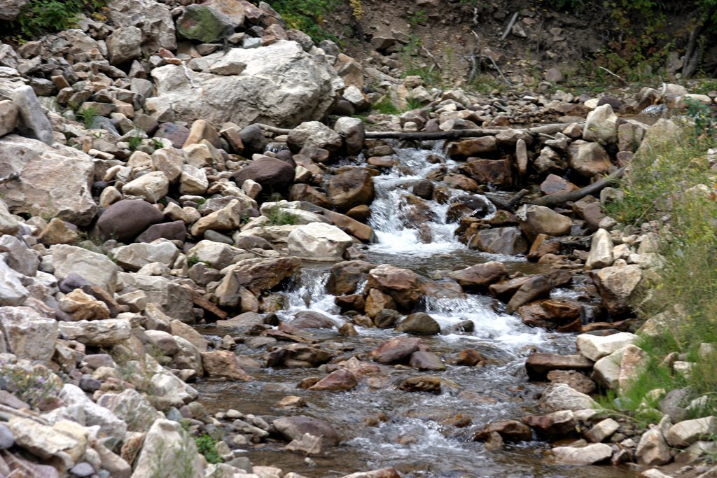 Cottonwood Creek by Jim Bassett