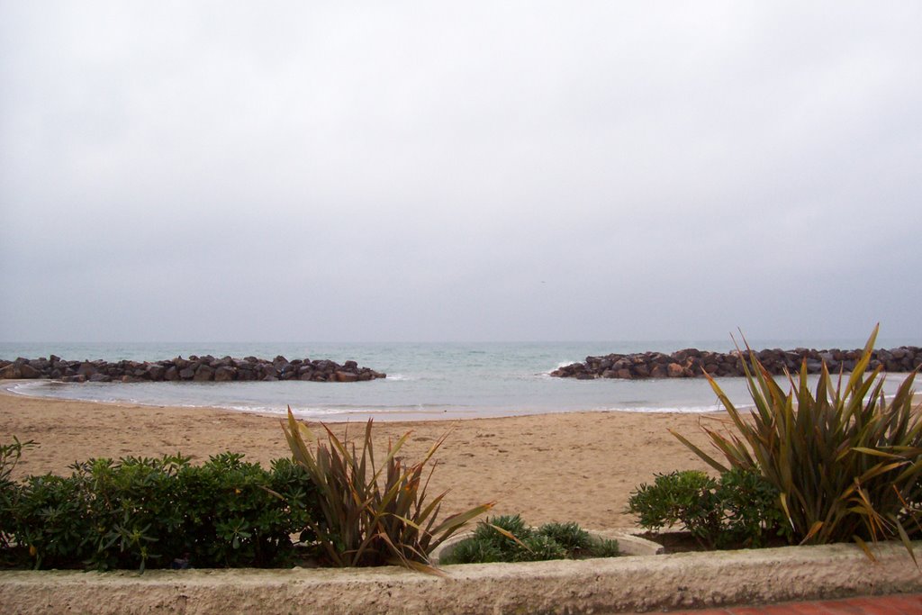 View from Albergo Pino al Mare by lynneg29