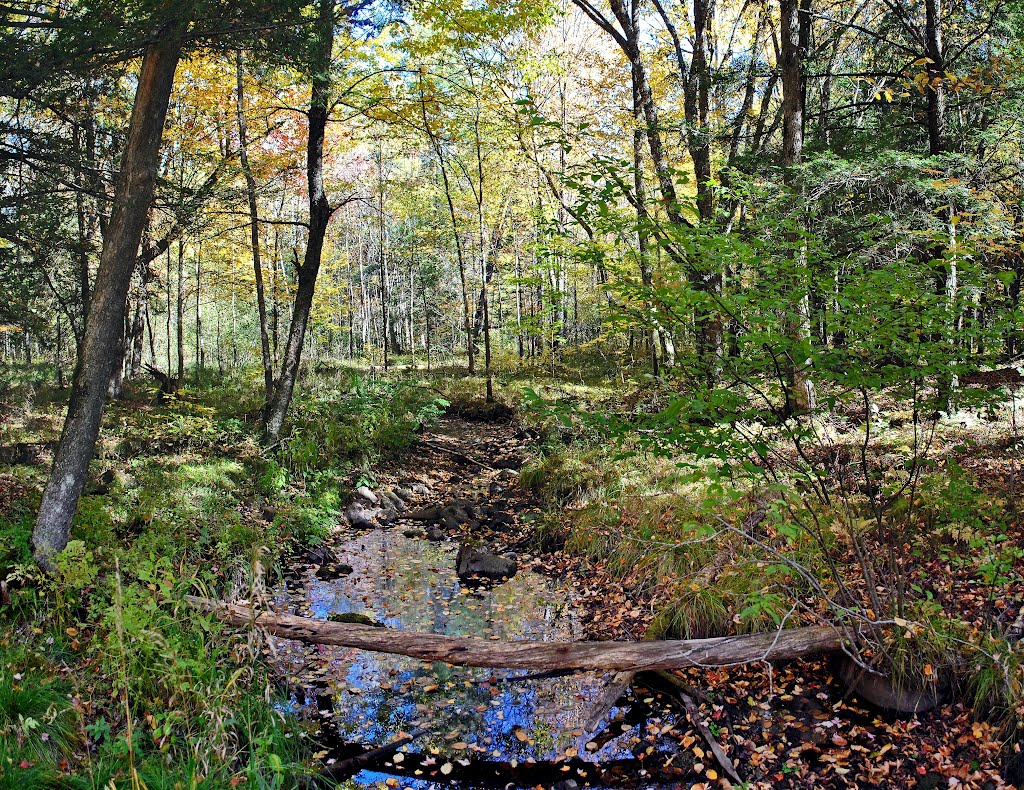 Lost Lake Esker State Natural Area by Aaron Carlson