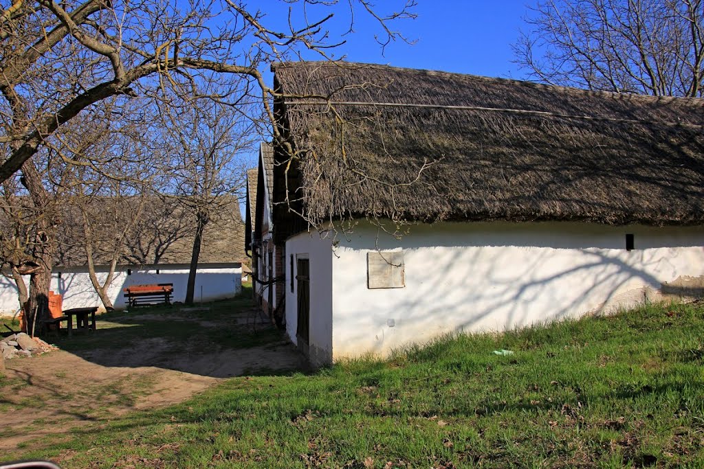 The wine cellars of Györköny, Hungary by Erdelyi Mihaly