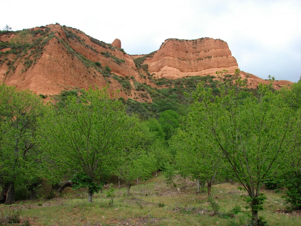 Castaños (Las Medulas, León) by laura&paula