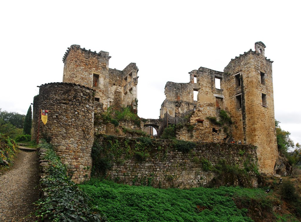 Château de Saint-Martin-Laguépie by F@M