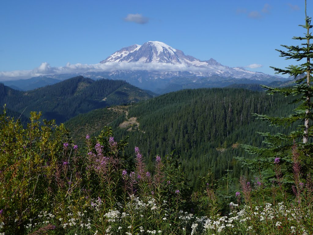 Mount Rainier by oldadit