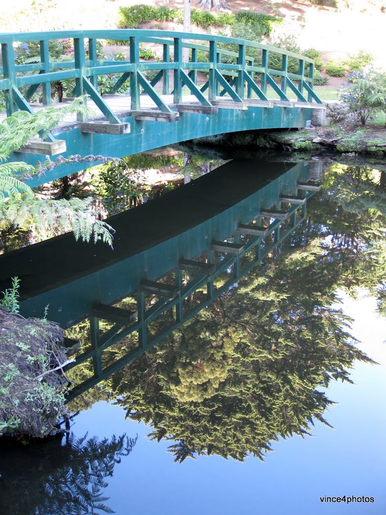 Virginia Mirror Lake at Whanganui by Maro Vinci