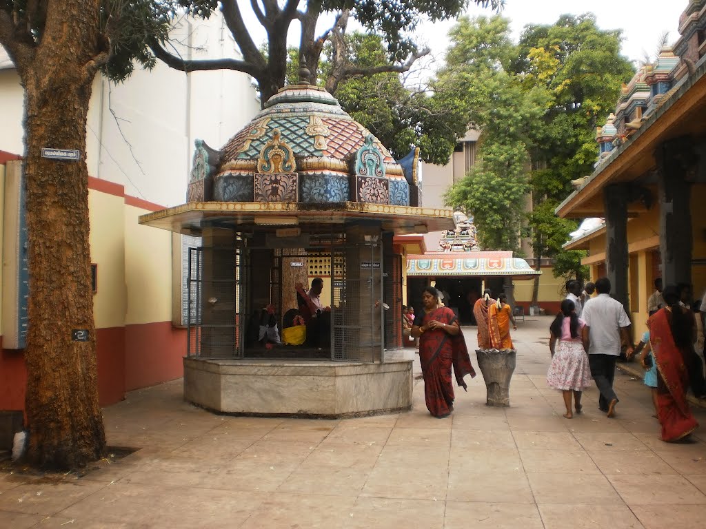 ஸ்ரீ கோணியம்மன் கோயில் Shri Koniyamman Temple கோயம்புத்தூர்-കോയംപുത്തൂര്‍-కోయంబత్తూర్-कोयंबतूर-কোয়েম্বটুর-કોઇમ્બતુર- کویمبٹور- କୋୟମ୍ପୁଥଥୂର୍- ਕੋਯਮ੍ਪੁੱਠੂਰ -කොයම්පුත්තූර් Κουαμπυθοορ Coimbatore (Koyampuththoor)哥印拜陀 - コインバトール- 코임 바토르 -ไกรังเงร์- 485 by dhanasekarangm