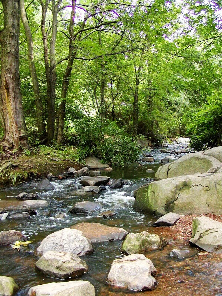 Martlings Brook by jacrabit