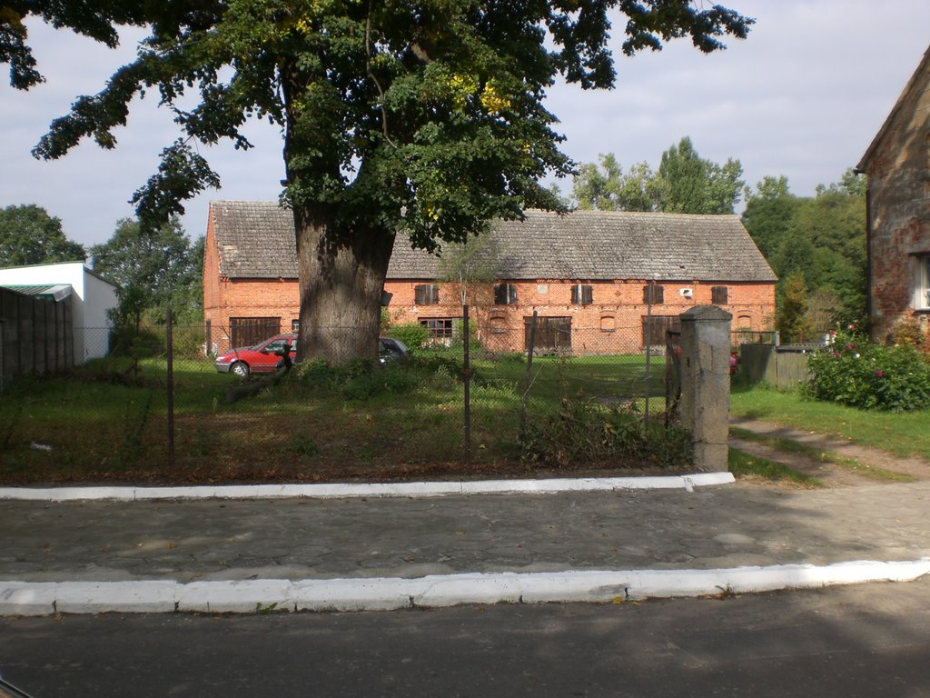 Part of the presbitery of the church by Tedeus