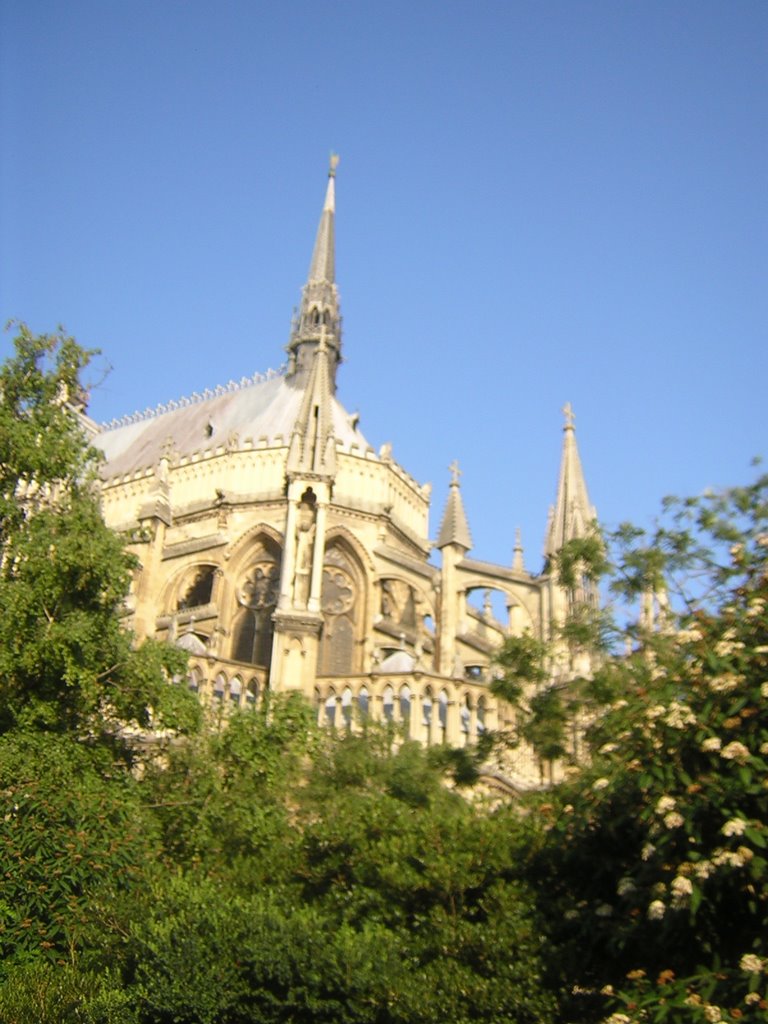 Notre-Dame de Reims by andulka