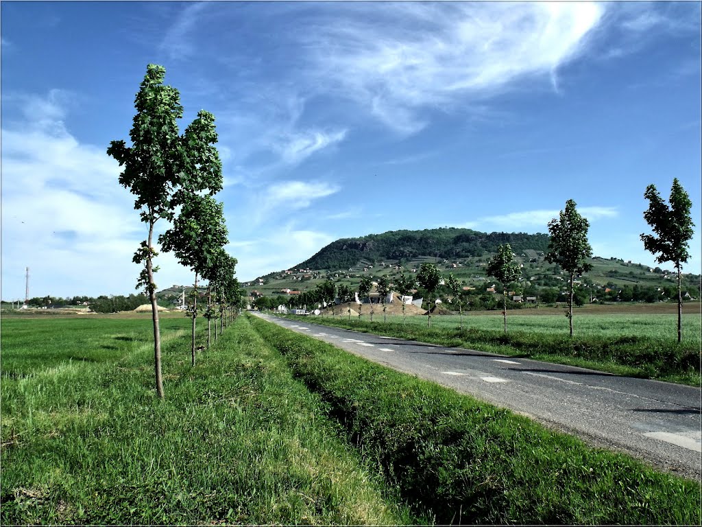 Somló hegy a távolban by ©  Imre Lakat