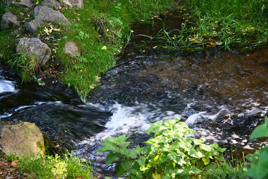 Stream, Tegelen by G.M. Kowalewska