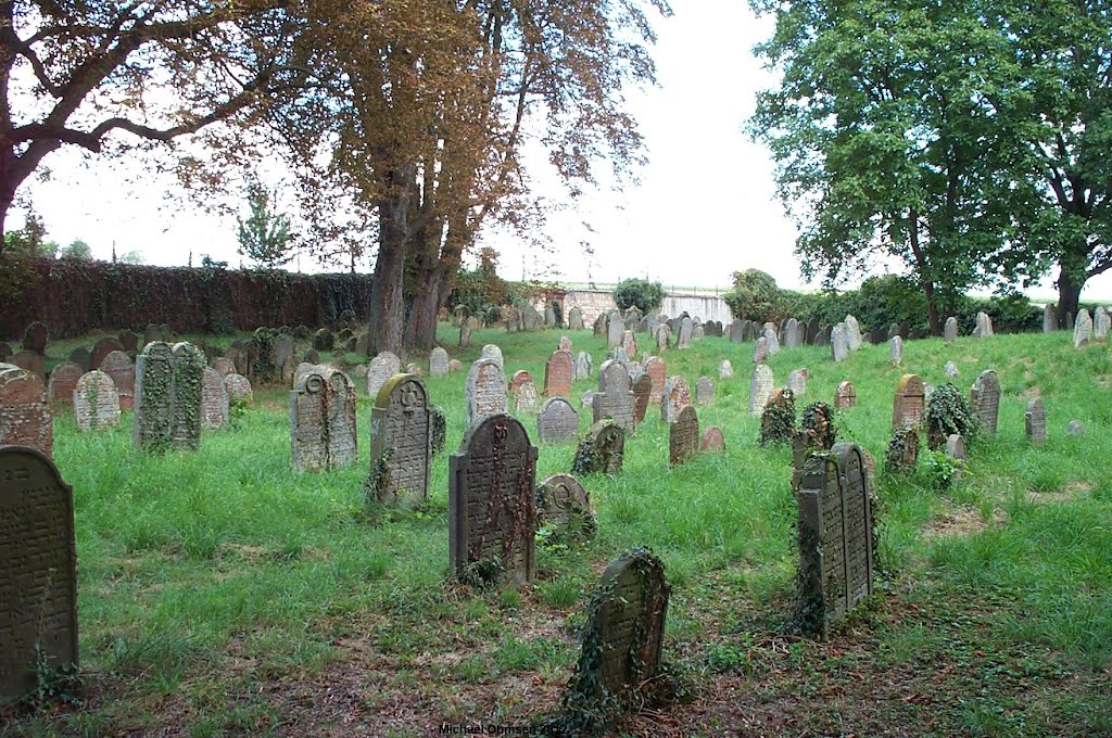 Auf dem alten jüdischen Friedhof in Essingen by Michael Ohmsen