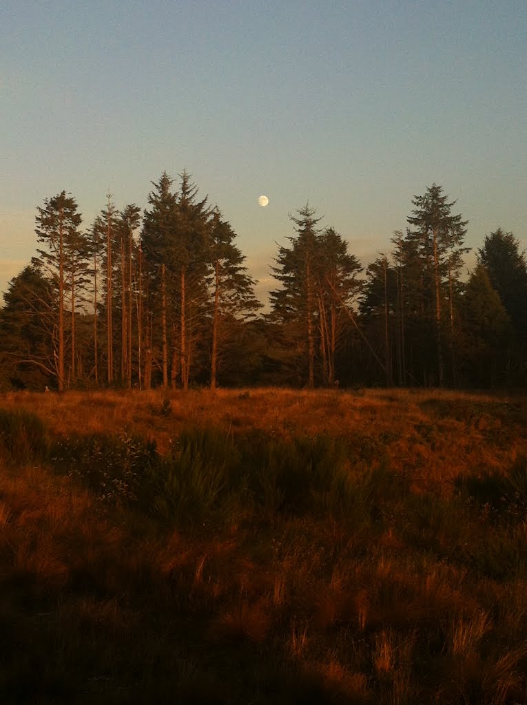 Moon rise, at sunset. by Visions4you