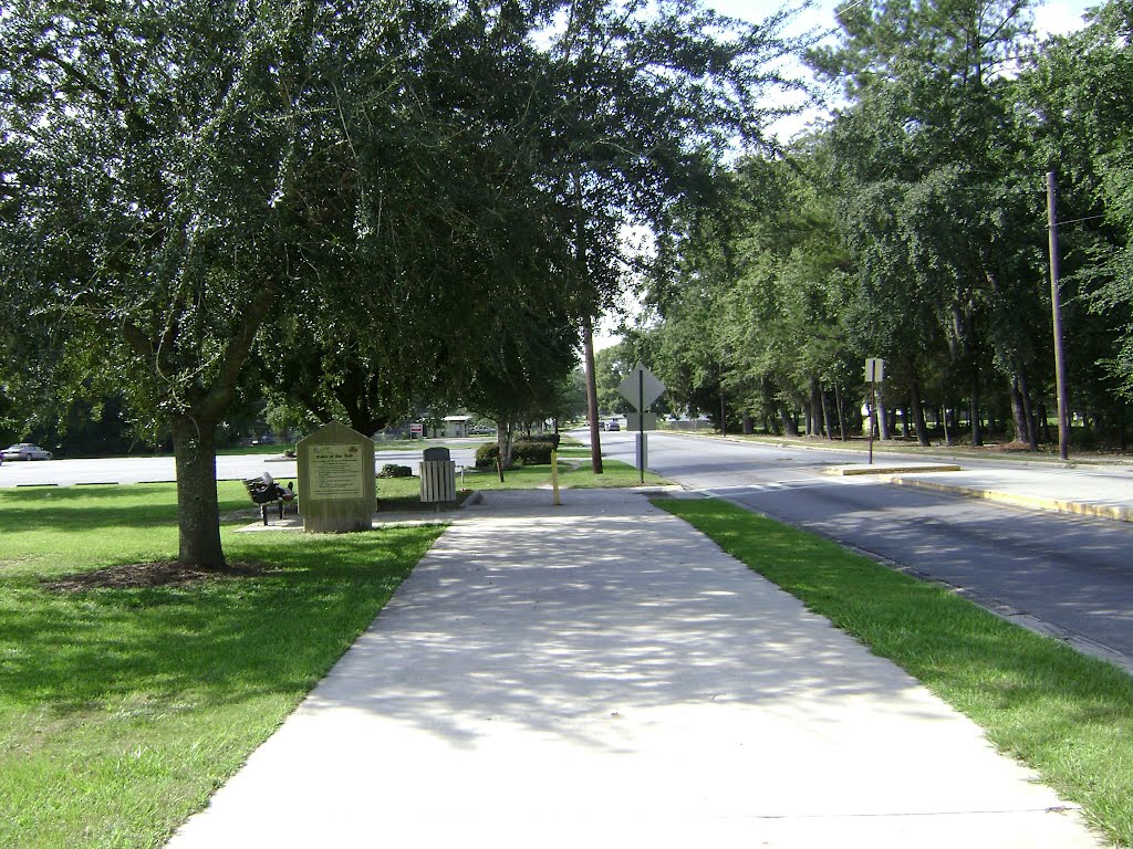 Azalea City Trail looking south down N. Lee St. by mriveraz