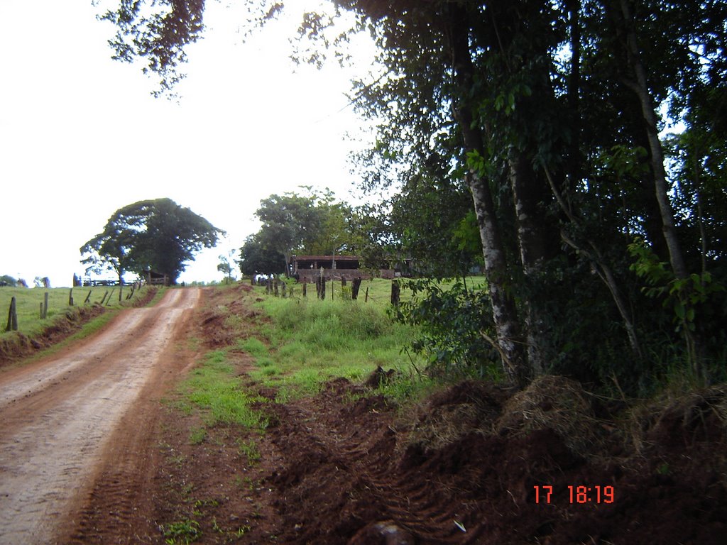 Caminho p/a a Iapar e a Reserva Biológica by Claudirene Rizzo