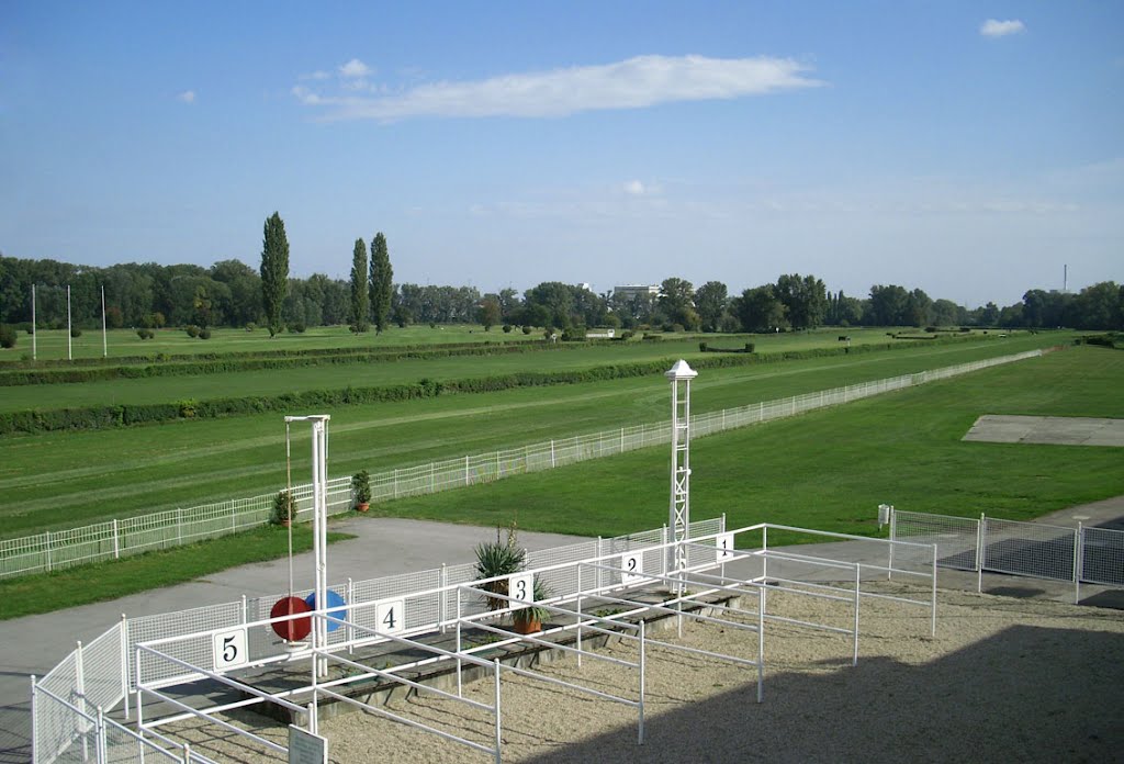 Galopprennbahn Freudenau by Don Claudio