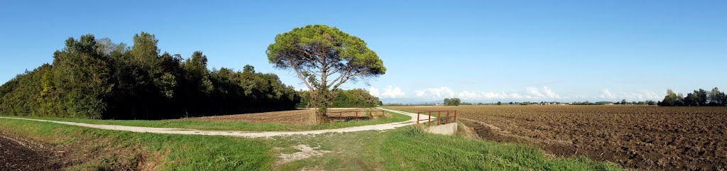 Cervignano del Friuli (UD) Il Boschetto di Borgo Fornasir by MaurizioTex