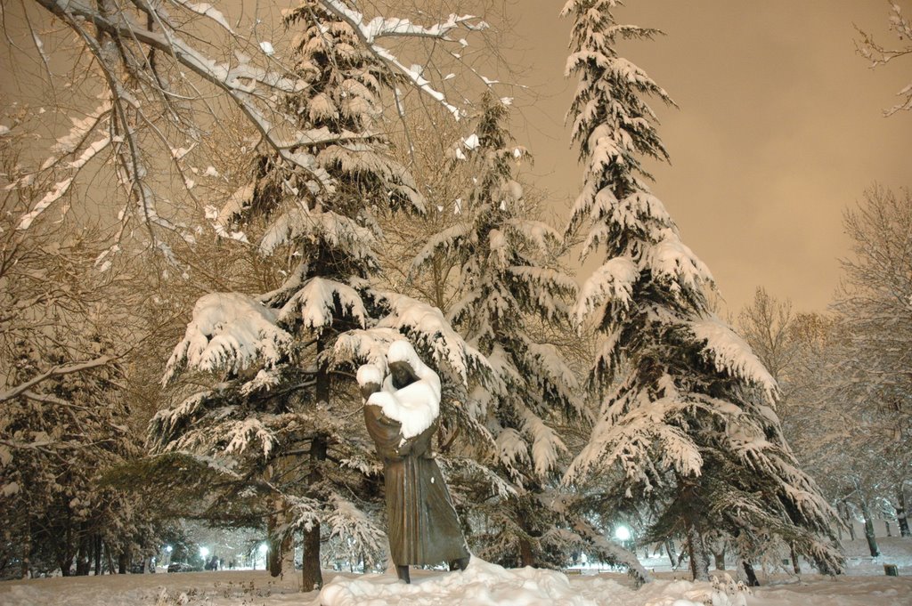 شب طلایی پارك ملت.Golden night in mellat park by Mohammad Farkoosh