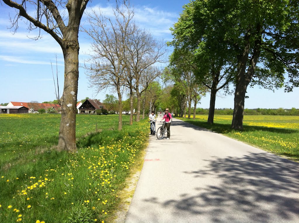 Münchner Allee by wolfgang-franke