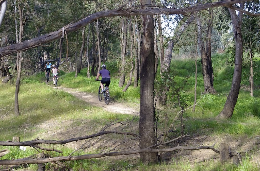 Family amongst the Gums by snucklepuff