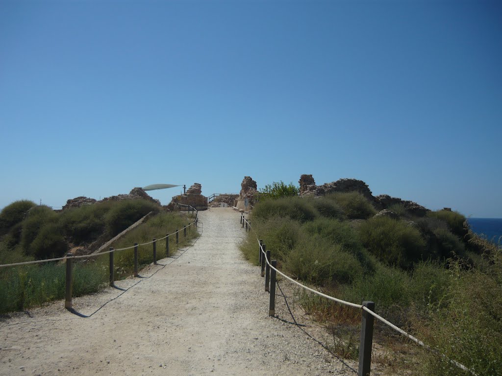 Tel arsuf ,Israel by yacovro