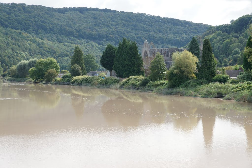 River Wye And Tintern Abbey by njellis