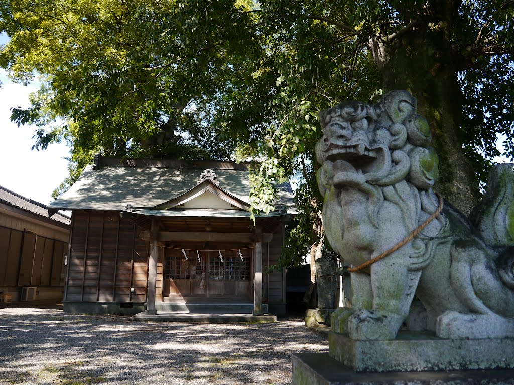 金刀比羅神社　拝殿・狛犬（阿） by folon X