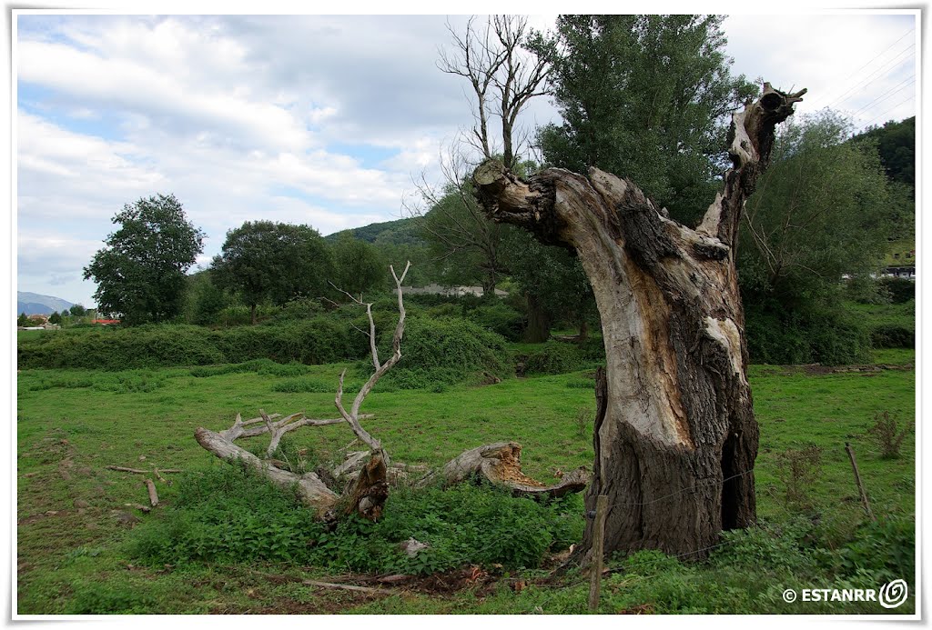 LA GARROTXA - 8738 by © ESTANRR