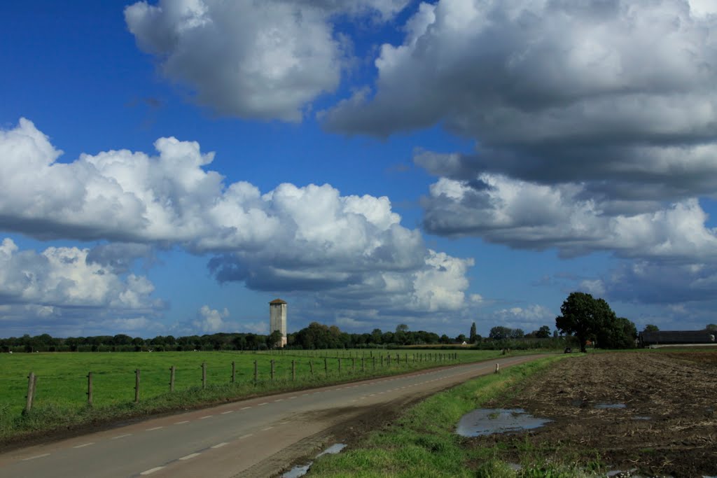 Het Kromme-Rijn landschap gezien vanaf de Tuurdijk met in de verte de watertoren van Werkhoven. by watersnip