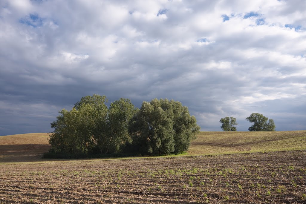 Landschaft bei Braunsberg by Jürgen-Güstrow