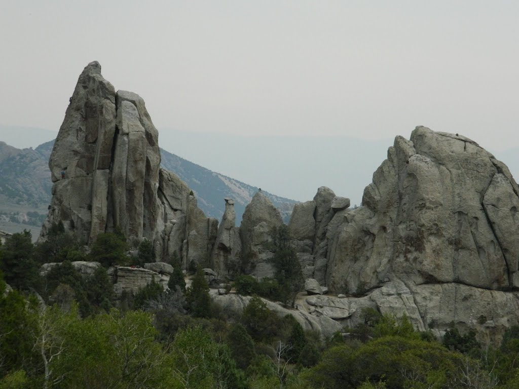 A lot of people go rockclimbing out here, and this is one of the hardest sites in the park to climb, apparently by olekinderhook