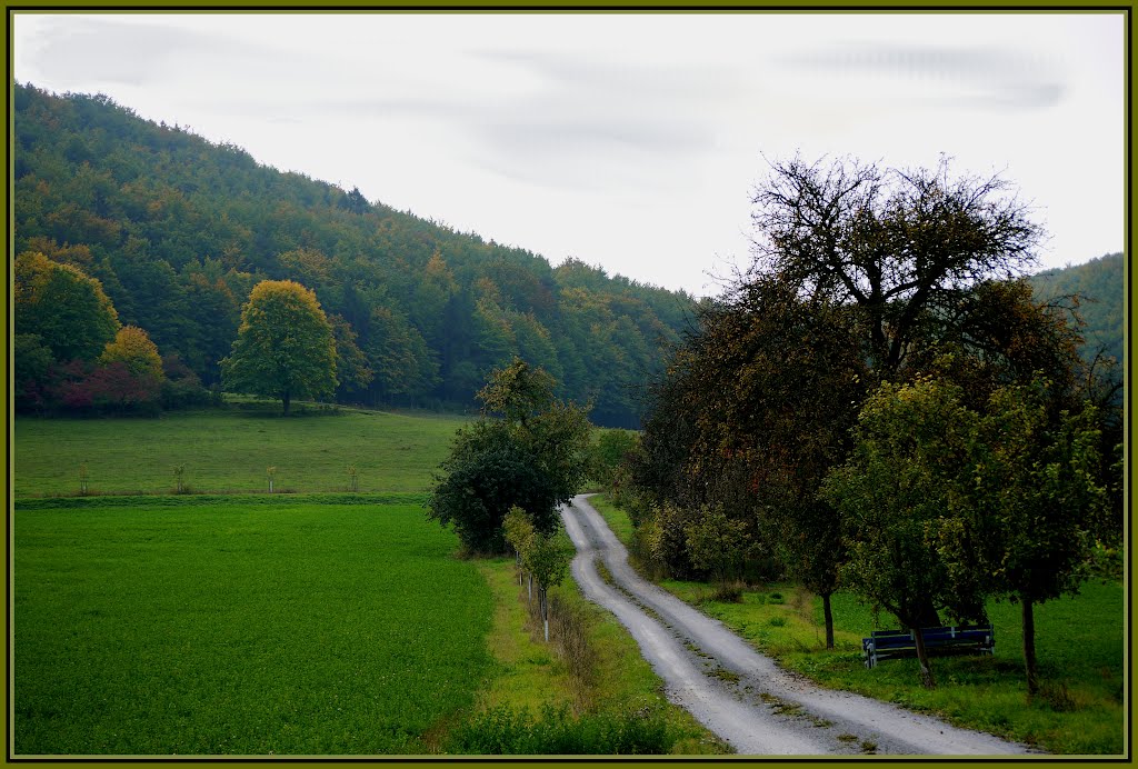 Herbst in Thüringen by klaus183