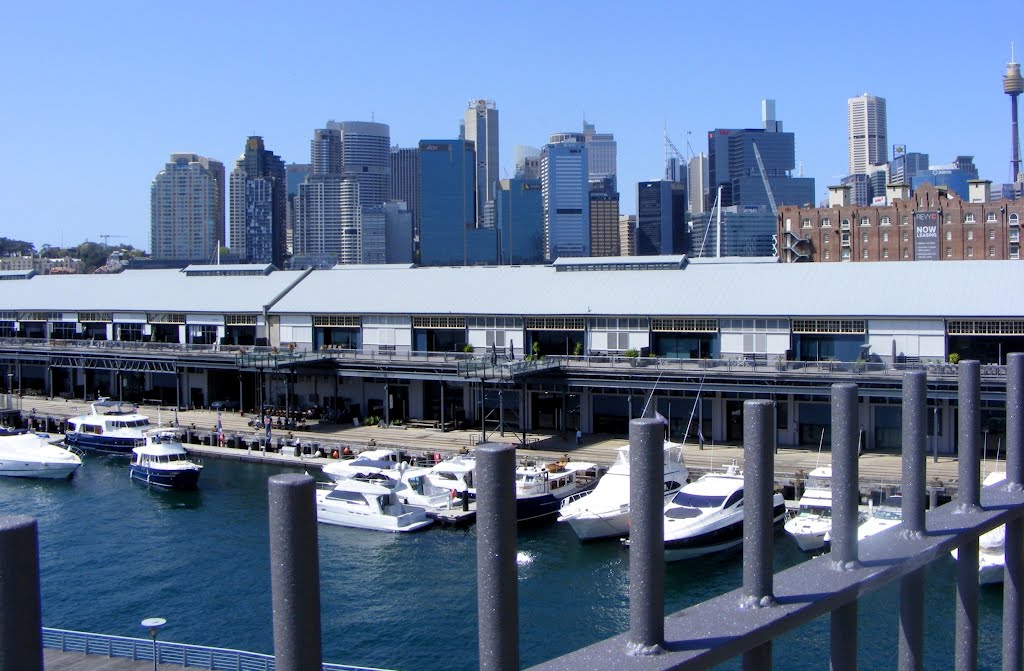 Pyrmont Wharf & Marina by Alan Farlow