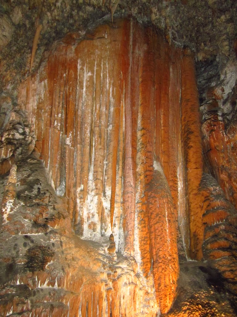 Speleothem inside Jersey Cave, Yarrangobilly Caves, NSW by Jason Boyd