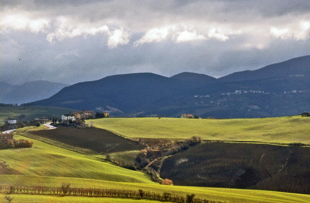 1976 - Campagne Marchigiane by ♥ stazio vinicio