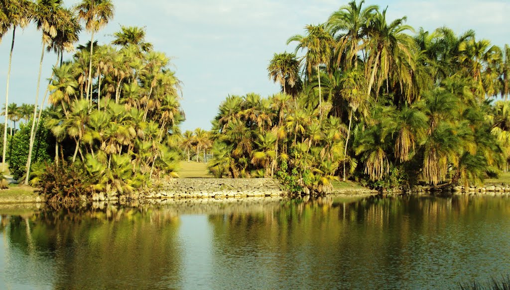 Fairchild Tropical Botanic Garden, Coral Gables, Fl by Agila