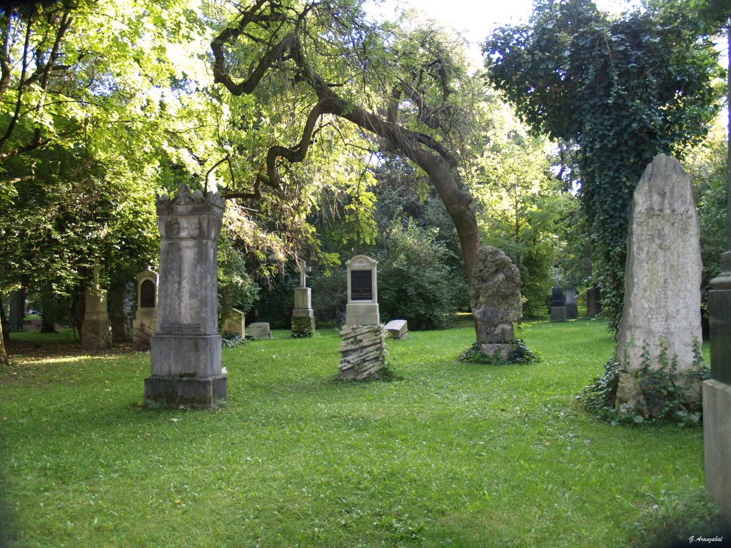 Alter Nördlicher Friedhof·X, München by Gorka Aranzabal