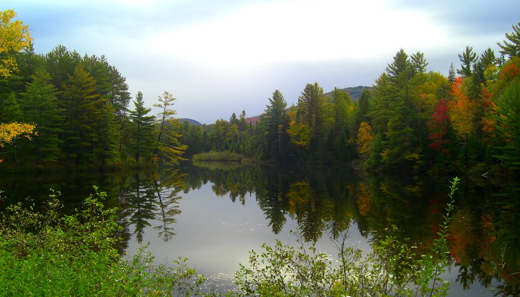 Ray Brook Pond, Ray Brook, NY, oct 2, 2012 by Tom Dudones