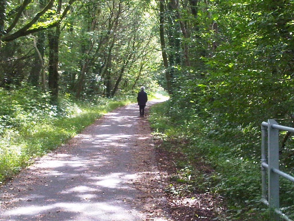 Taff Trail, Rhondda Cynon Taff by Dave Mackay gmail address