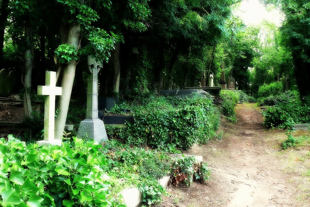 London, Highgate Cemetery by mellis62