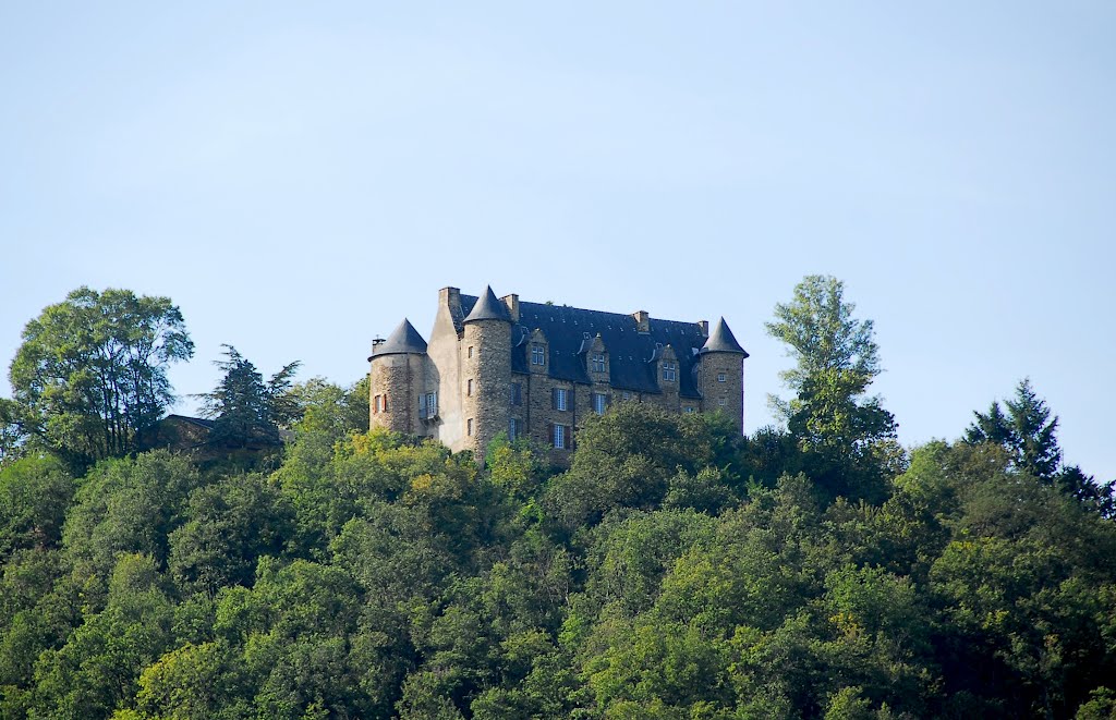 Château de Saint-André by F@M