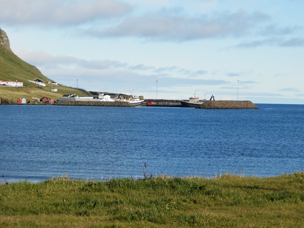 Á Hamranesi, Hvalba, Faroe Islands by Eileen Sandá