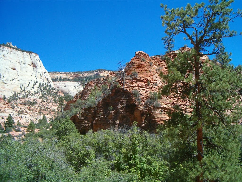 Utah - Zion National Park by Maurizio Giove