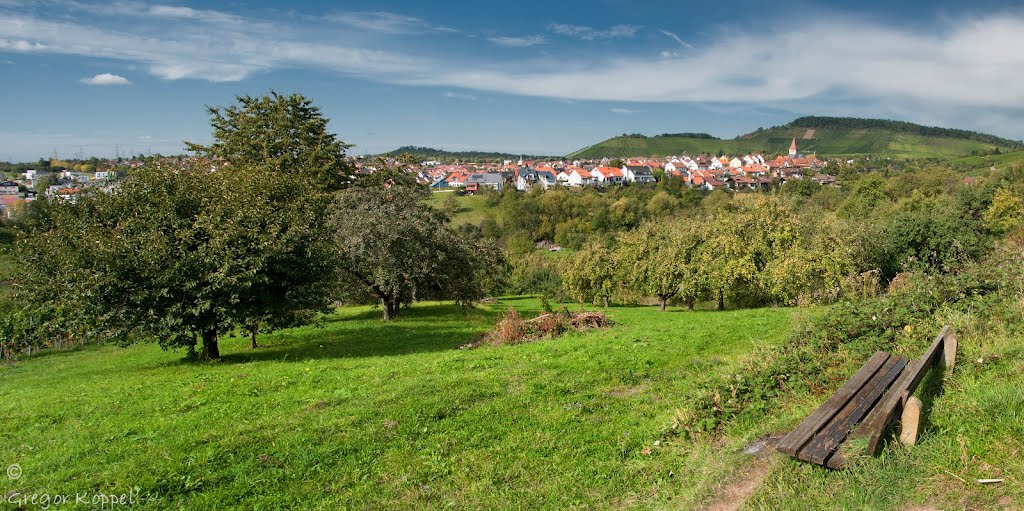 Korb - Panorama by Gregor Koppel